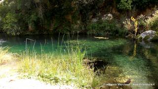 stello marchesa di Cassibile-10-02-2015 19-56-58